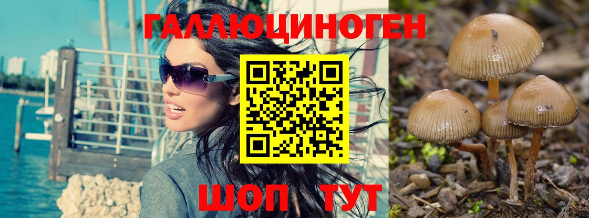 Псилоцибиновые грибы GOLDEN TEACHER Карачаевск